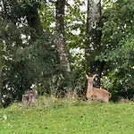 Arriach Apartments דירה