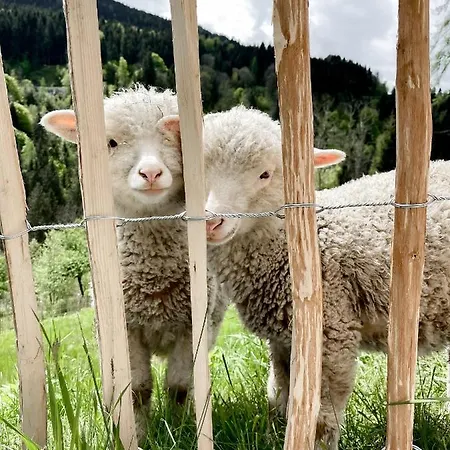 阿里亚奇宾馆 宾馆 Arriach