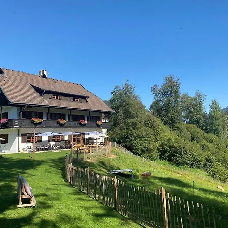 阿里亚奇宾馆 宾馆