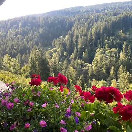 宾馆 阿里亚奇宾馆