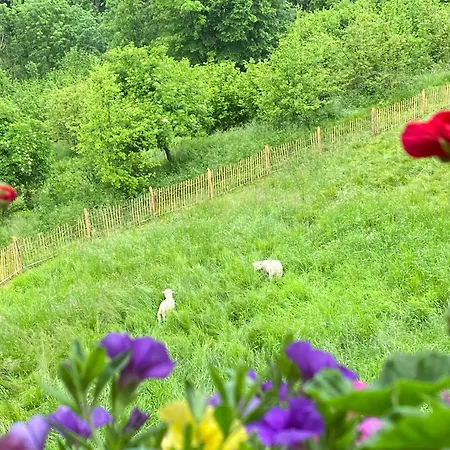 Pension Gasthof Arriach 3*