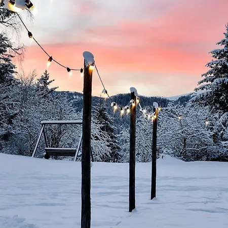 阿里亚奇宾馆 宾馆 3*