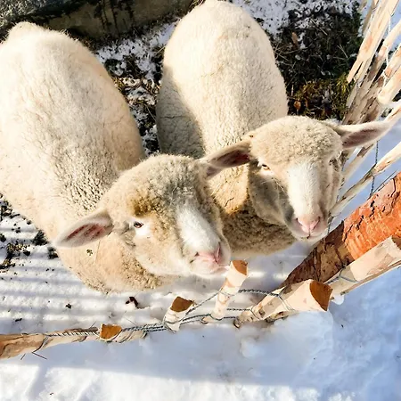 Arriach Apartments Estalagem Arriach