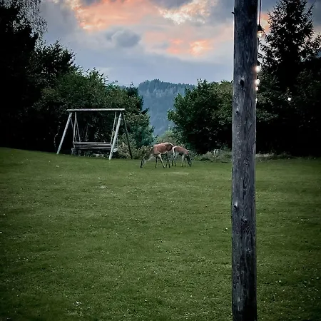 阿里亚奇宾馆 Arriach