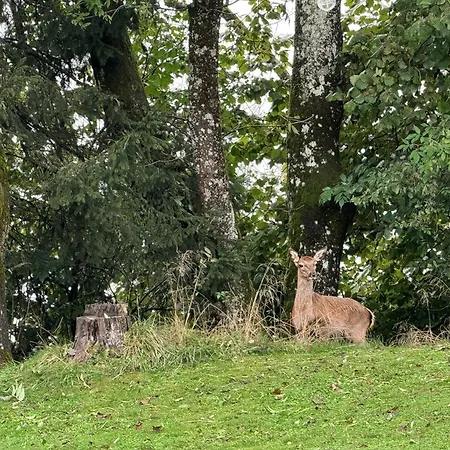 Pension Gasthof Arriach Herberg