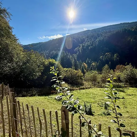 Lejlighed Arriach Apartments
