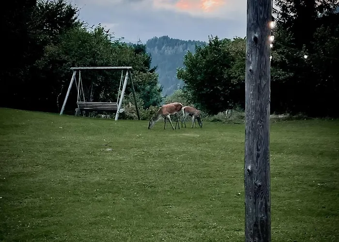 Gasthof Arriach Früstuck Pension Arriach