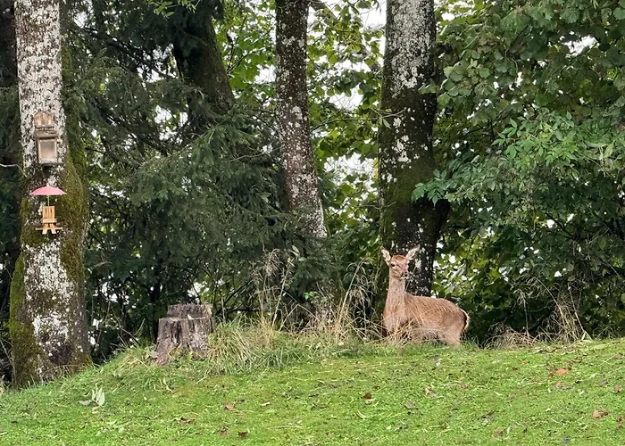 Arriach Apartments Διαμέρισμα