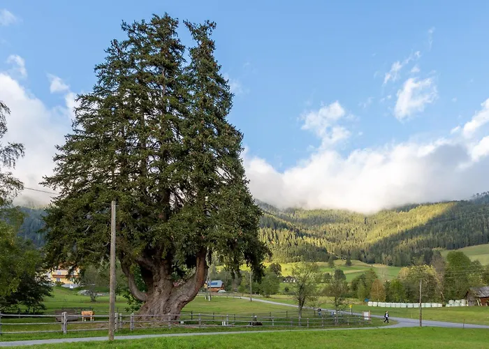 Apartment Gasthof Arriach Früstuck Pension *